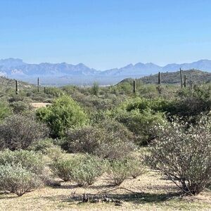 Meet your Posher, Janna